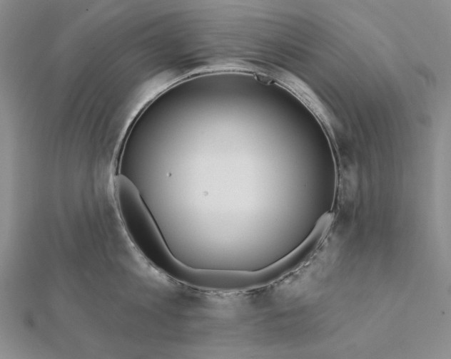 X0000112060813200908251019