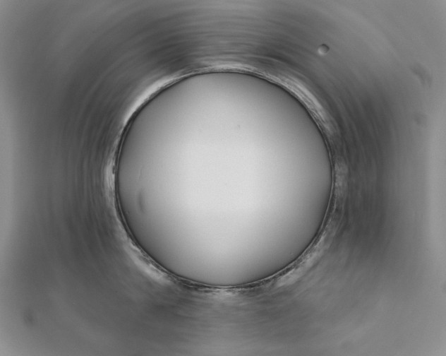 X0000112060814200908251019