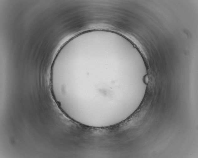 X0000112060815200908251019