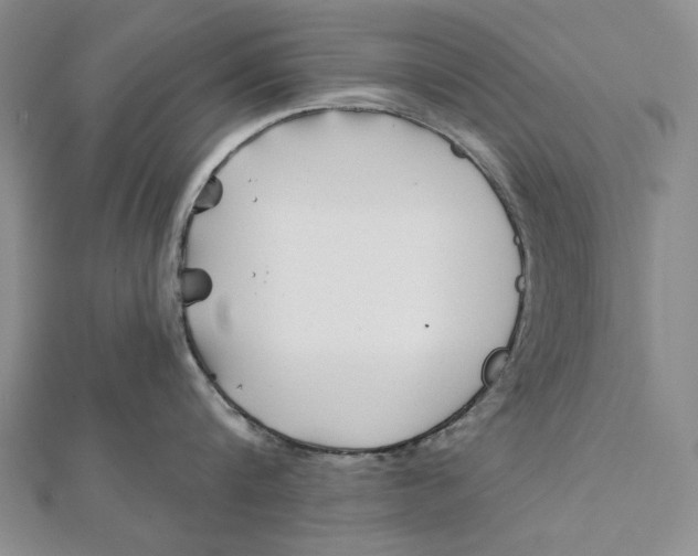 X0000112060816200908251019