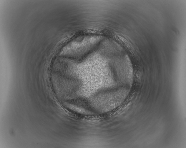 X0000112060817200908251019