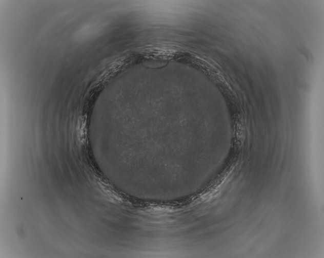 X0000112060818200908251019