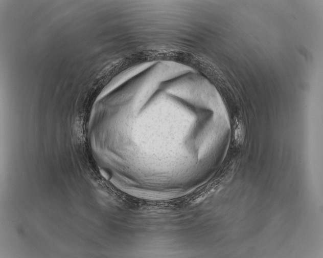 X0000112060819200908251019