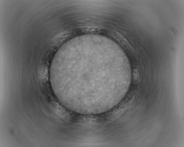 X0000112060820200908251019