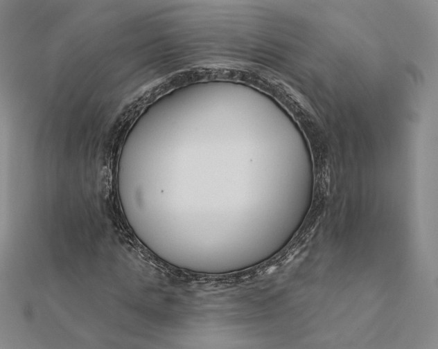 X0000112060821200908251019