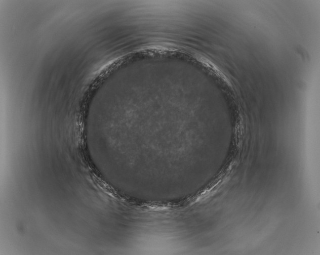 X0000112060822200908251019