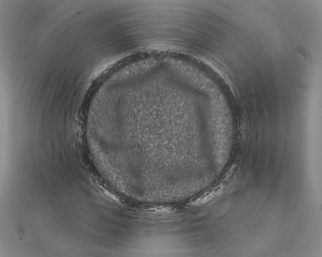 X0000112060823200908251019