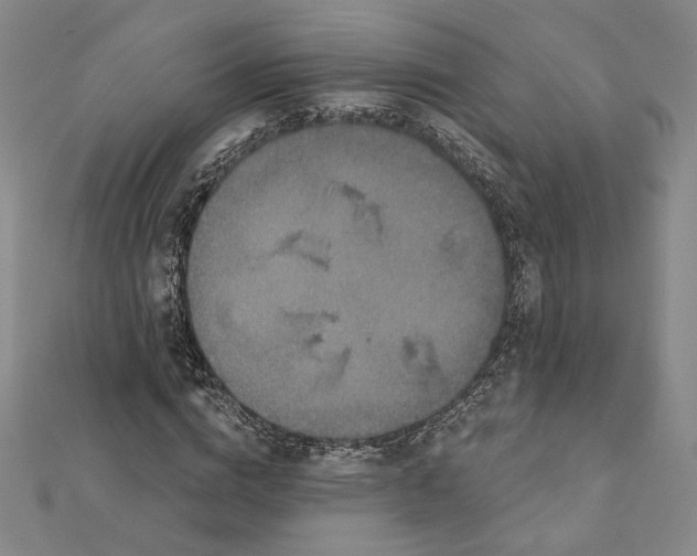 X0000112060824200908251019