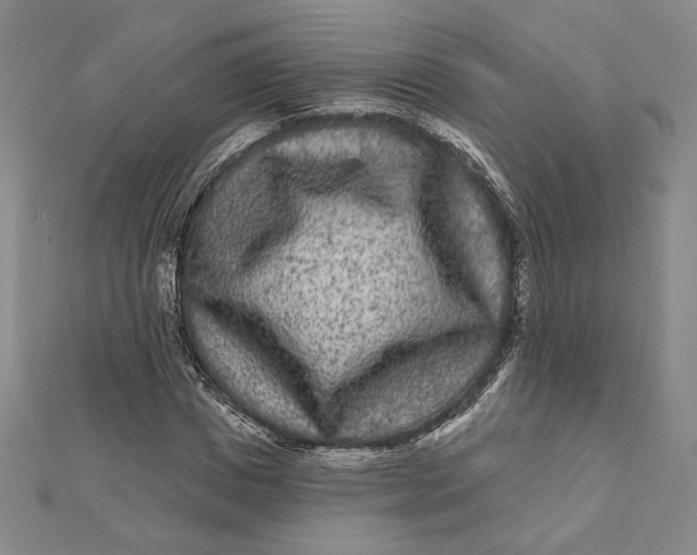 X0000112060825200908251019