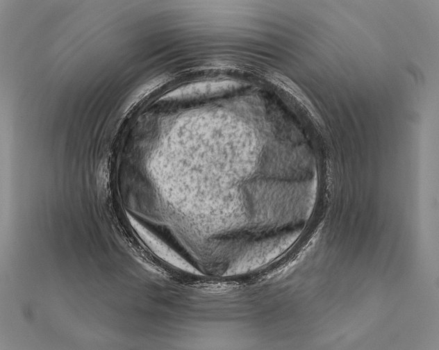 X0000112060826200908251019