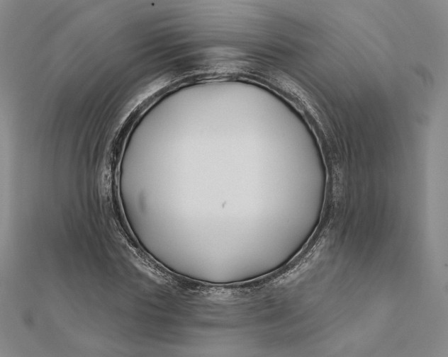 X0000112060827200908251019