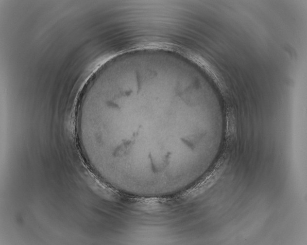 X0000112060828200908251019