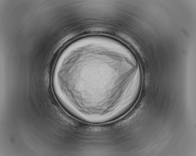 X0000112060829200908251019