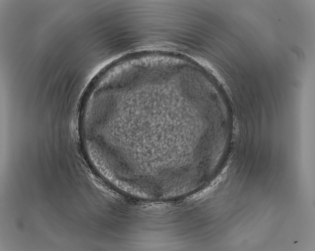 X0000112060830200908251019