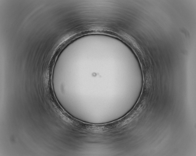 X0000112060831200908251019