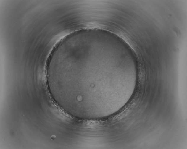 X0000112060832200908251019