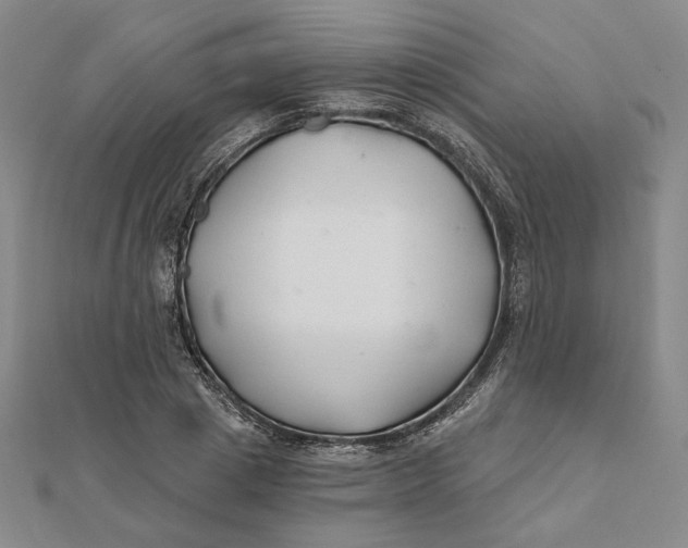 X0000112060833200908251019