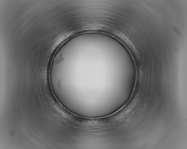 X0000112060834200908251019