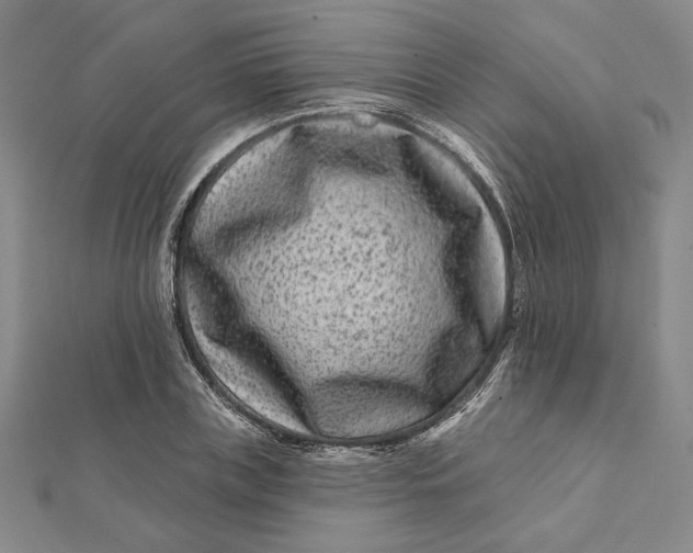 X0000112060835200908251019