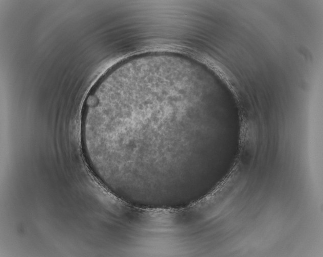 X0000112060836200908251019