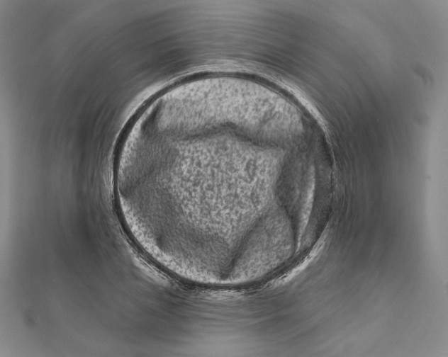 X0000112060837200908251019