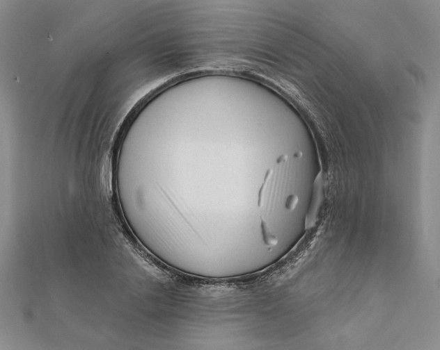 X0000112060838200908251019