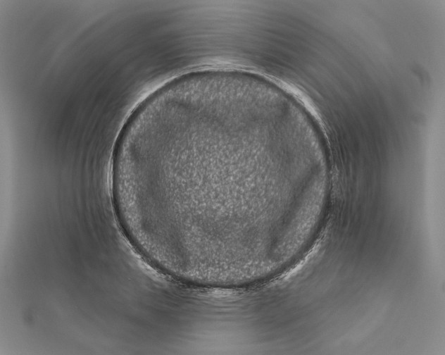 X0000112060839200908251019