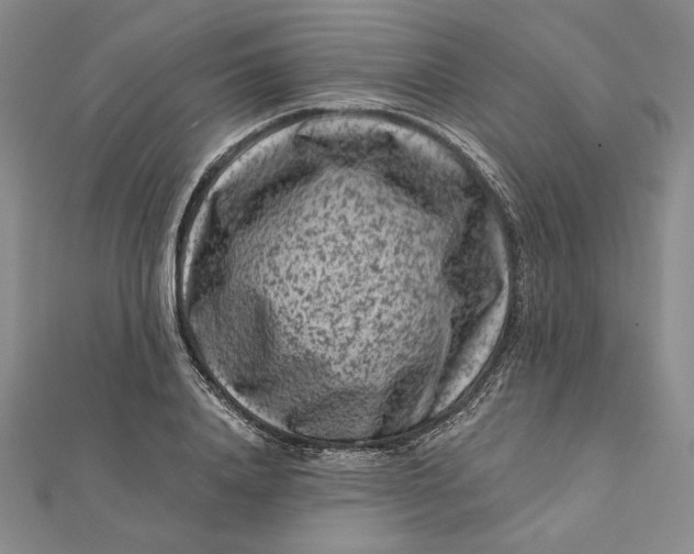 X0000112060840200908251019