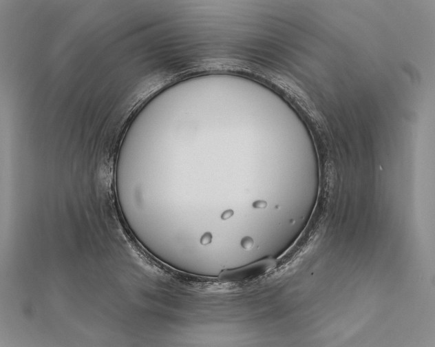 X0000112060841200908251019