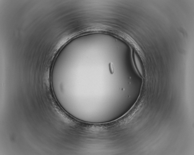 X0000112060842200908251019