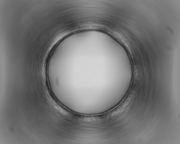 X0000112060843200908251019