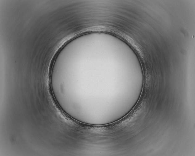 X0000112060845200908251019