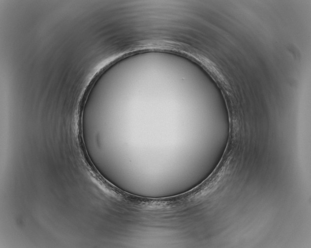 X0000112060846200908251019