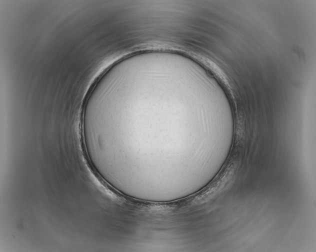 X0000112060847200908251019