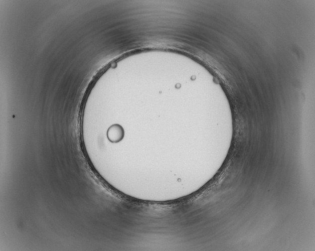 X0000112060848200908251019