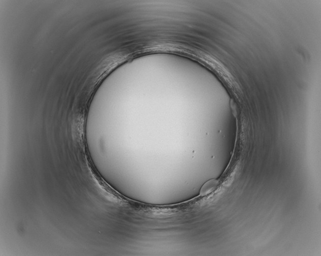 X0000112060849200908251019