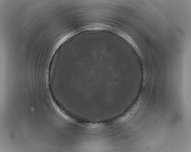 X0000112060850200908251019