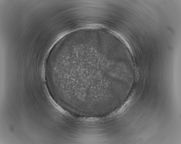 X0000112060851200908251019