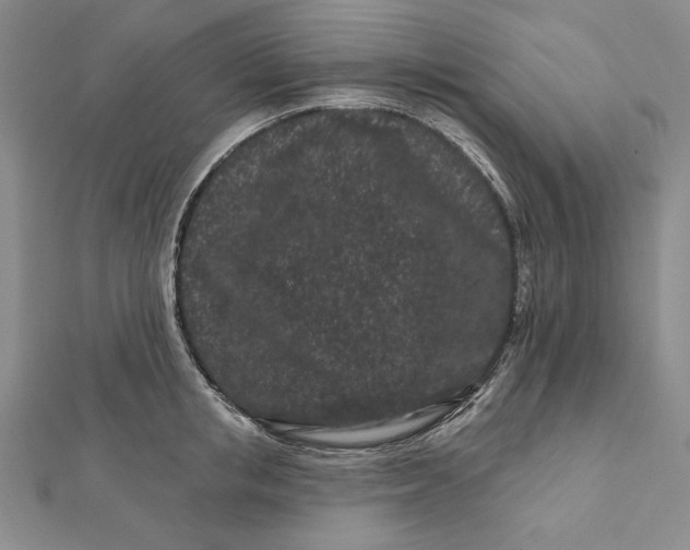 X0000112060853200908251019