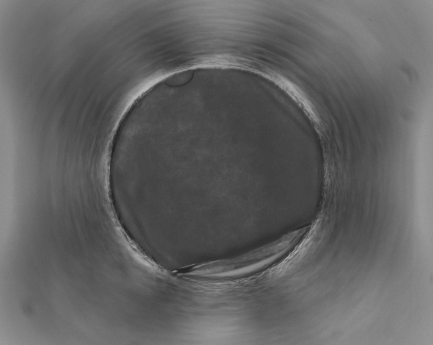 X0000112060854200908251019