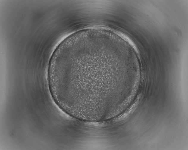 X0000112060855200908251019