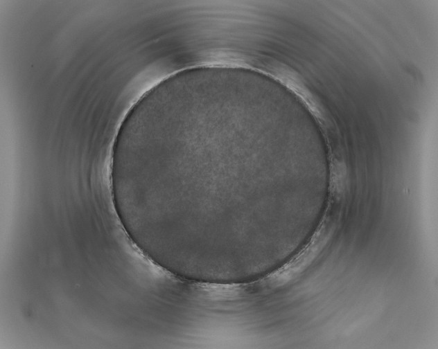 X0000112060856200908251019