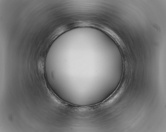 X0000112060857200908251019