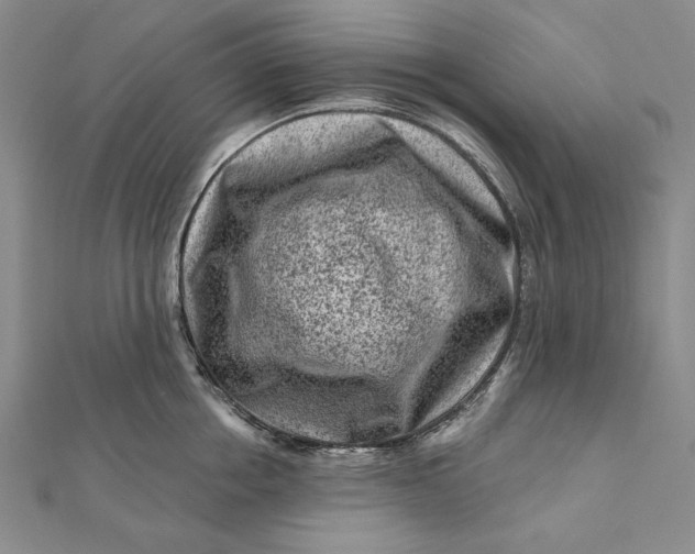 X0000112060858200908251019