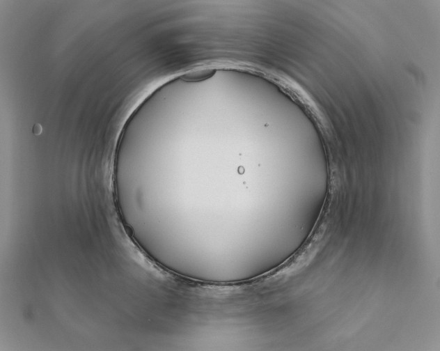 X0000112060860200908251019