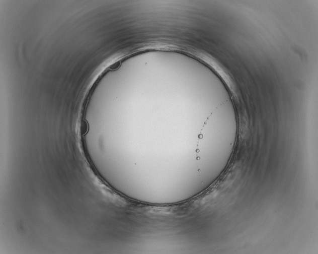 X0000112060861200908251019