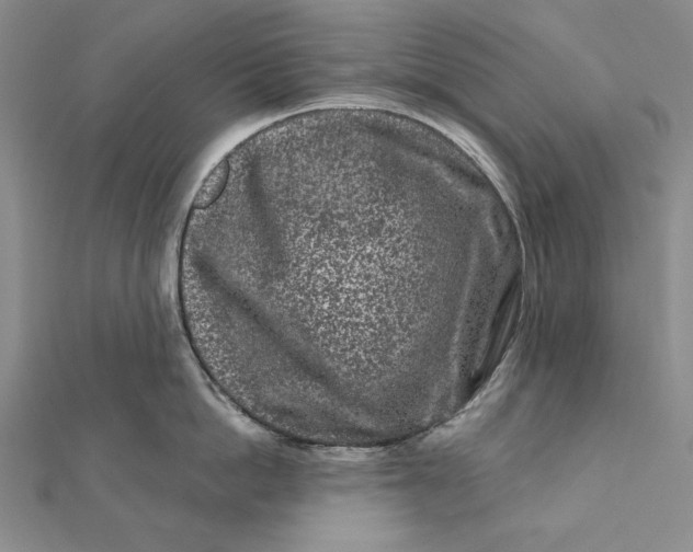 X0000112060862200908251019