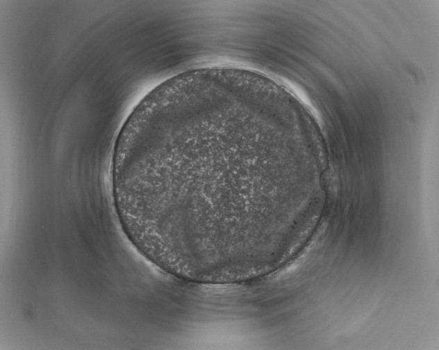 X0000112060863200908251019