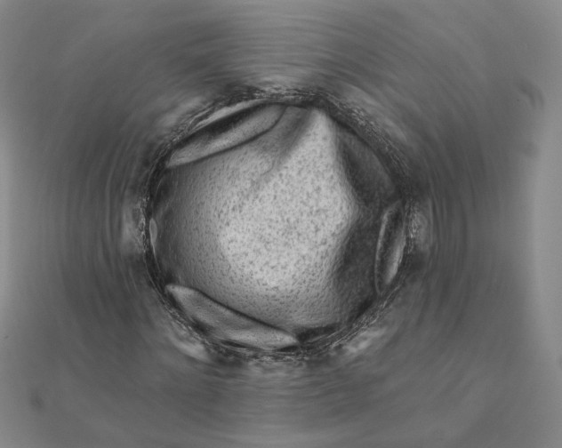 X0000112060868200908251019