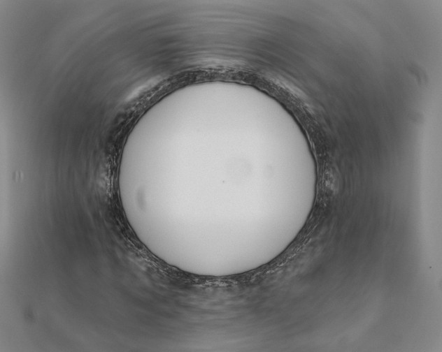 X0000112060869200908251019